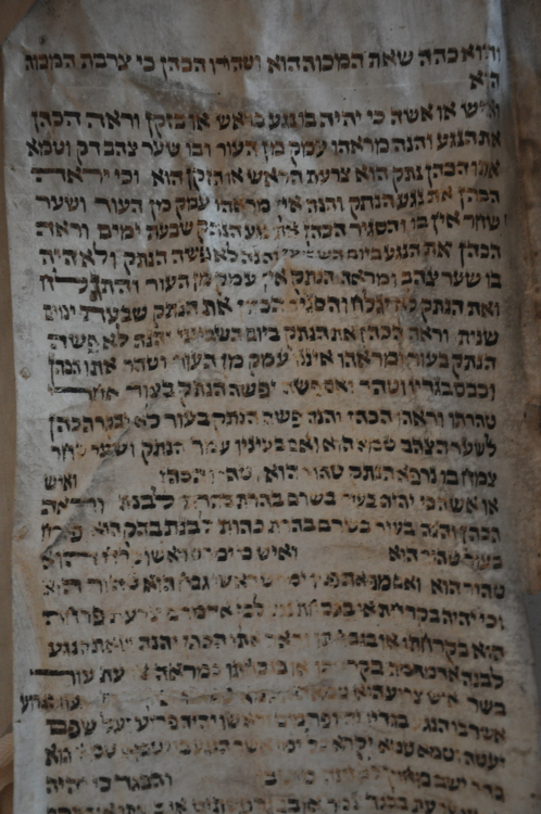 Scroll Image
