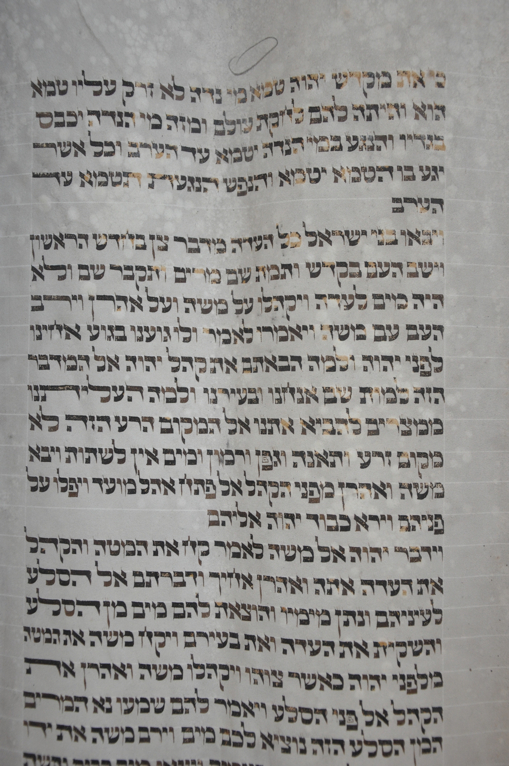 Scroll Image