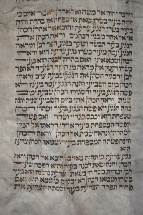 Scroll Image