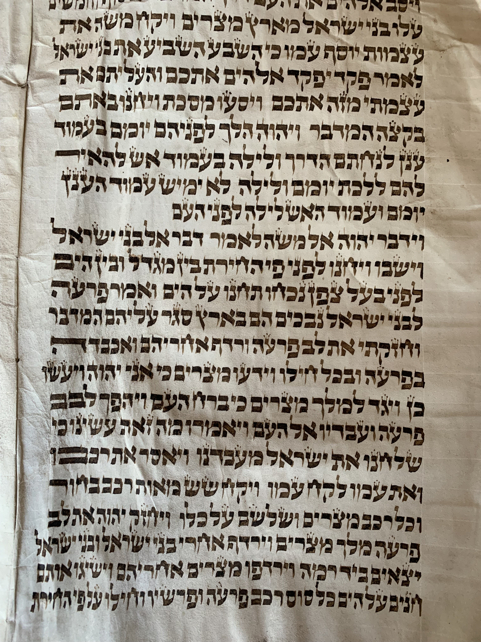 Scroll Image