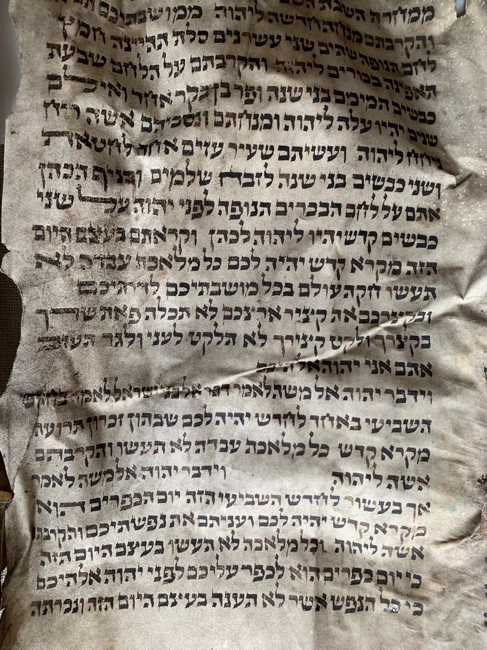 Scroll Image