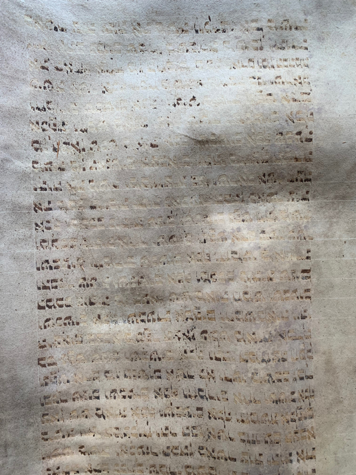 Scroll Image