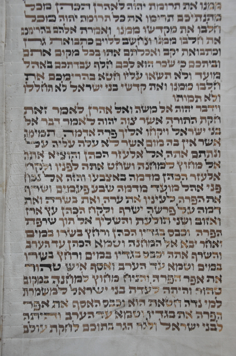 Scroll Image