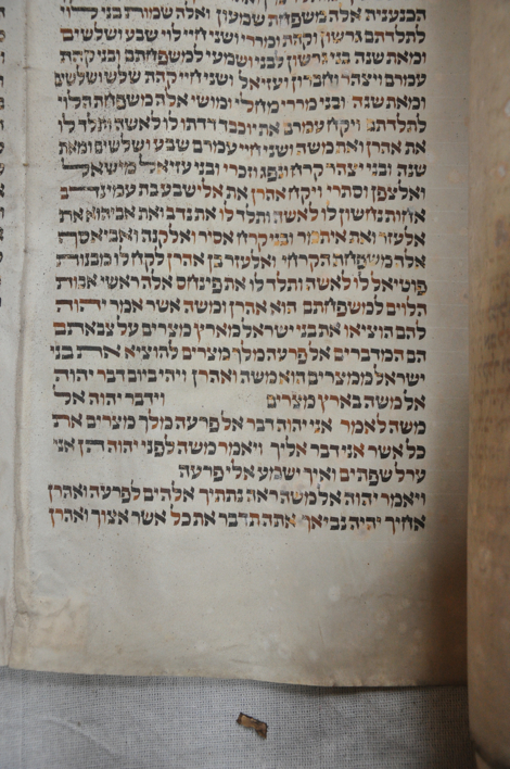 Scroll Image