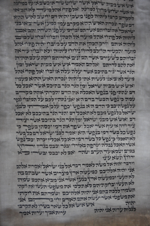 Scroll Image