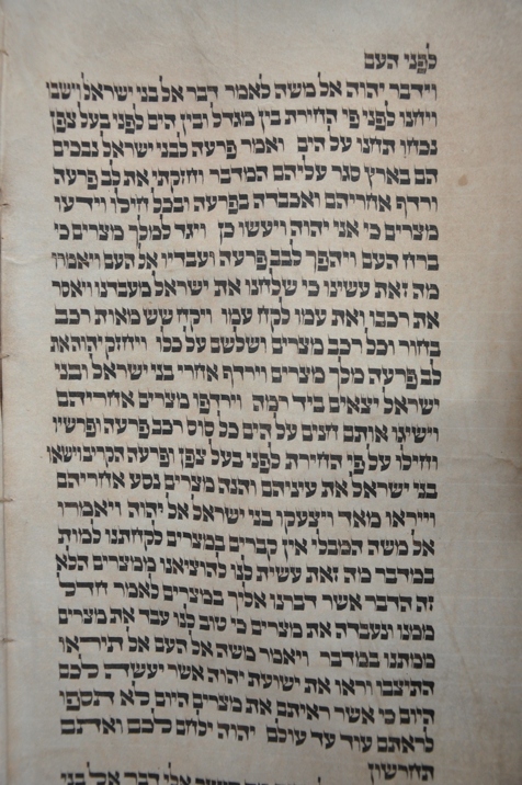 Scroll Image