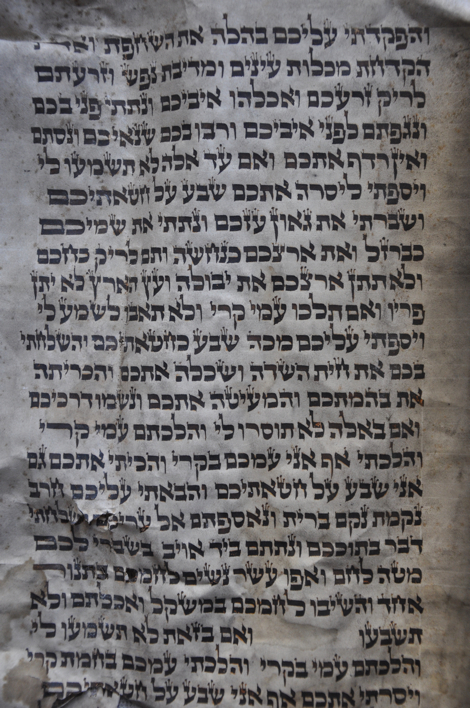 Scroll Image