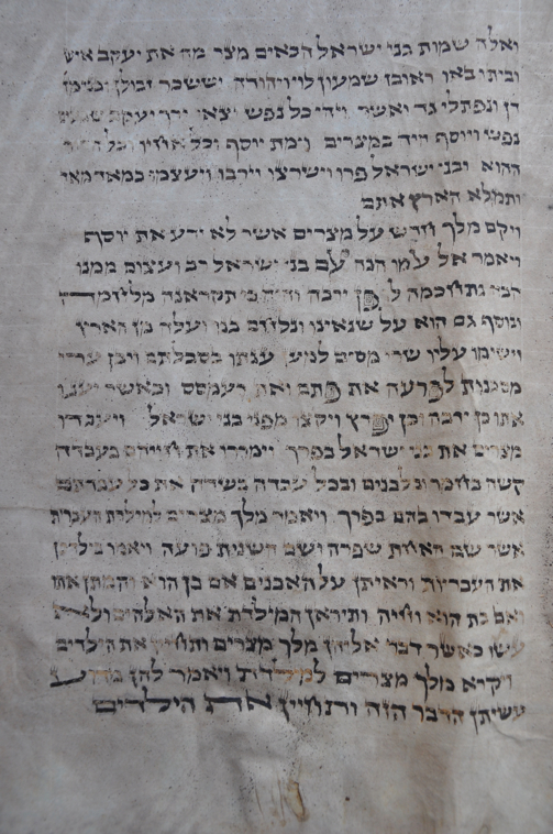 Scroll Image