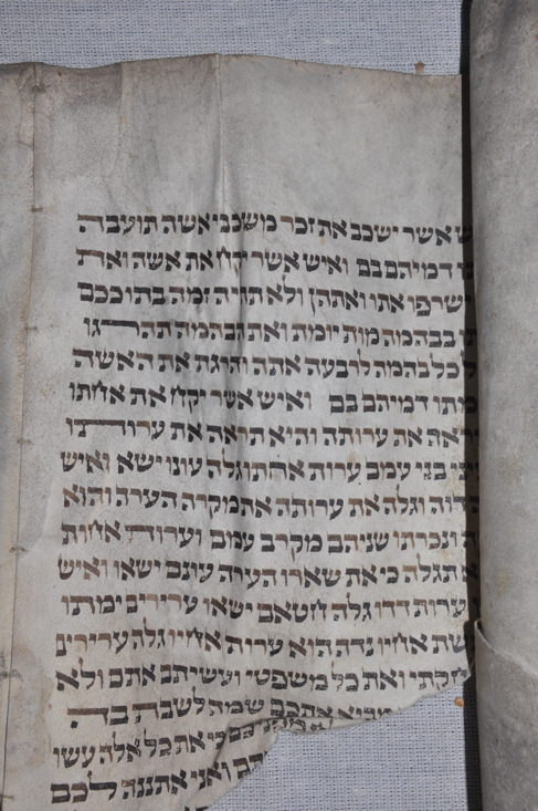 Scroll Image