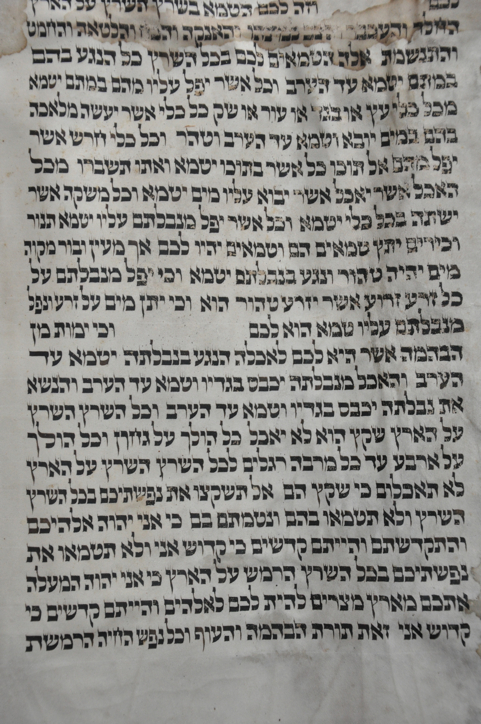 Scroll Image