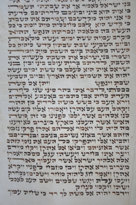 Scroll Image