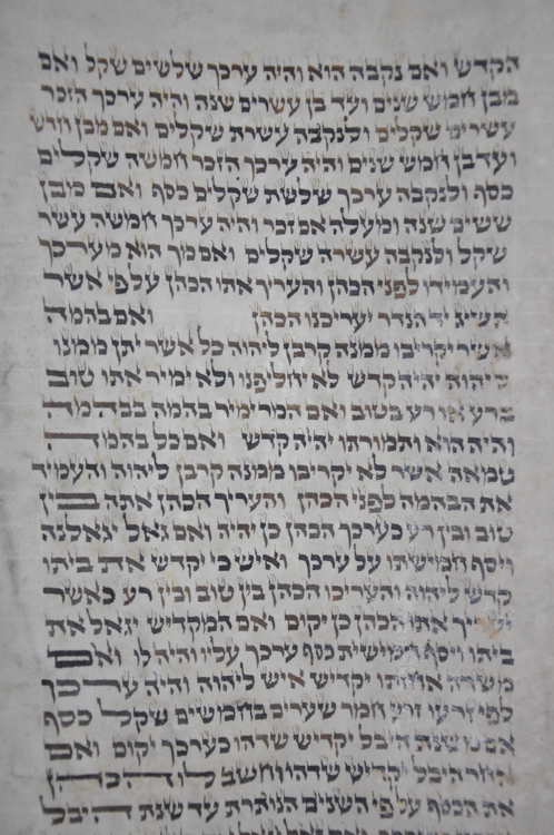 Scroll Image