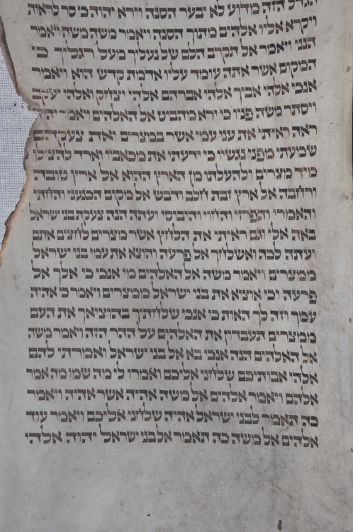 Scroll Image