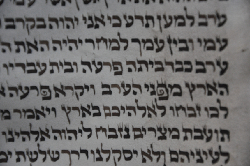Scroll Image