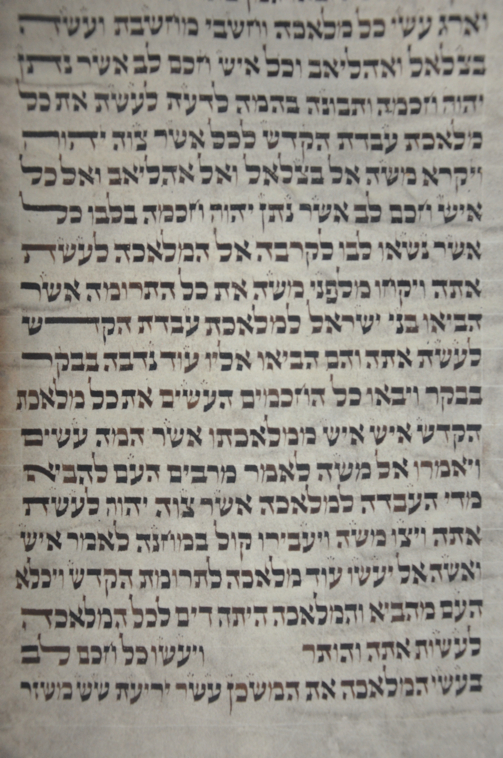 Scroll Image