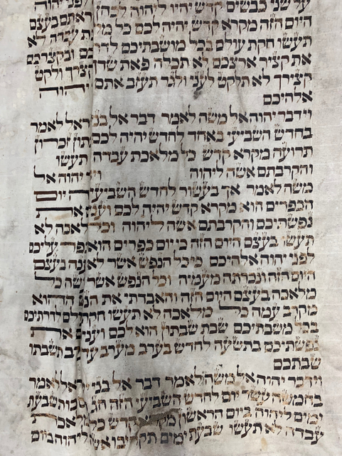 Scroll Image