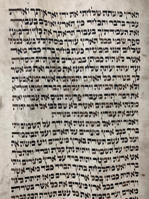 Scroll Image