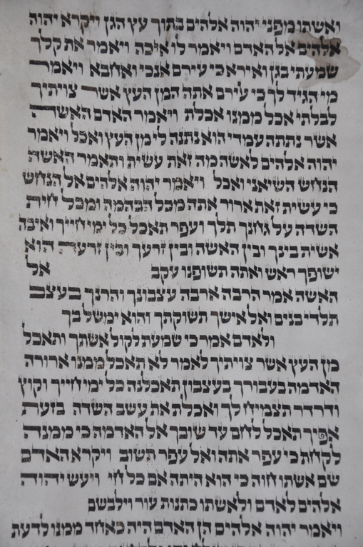 Scroll Image