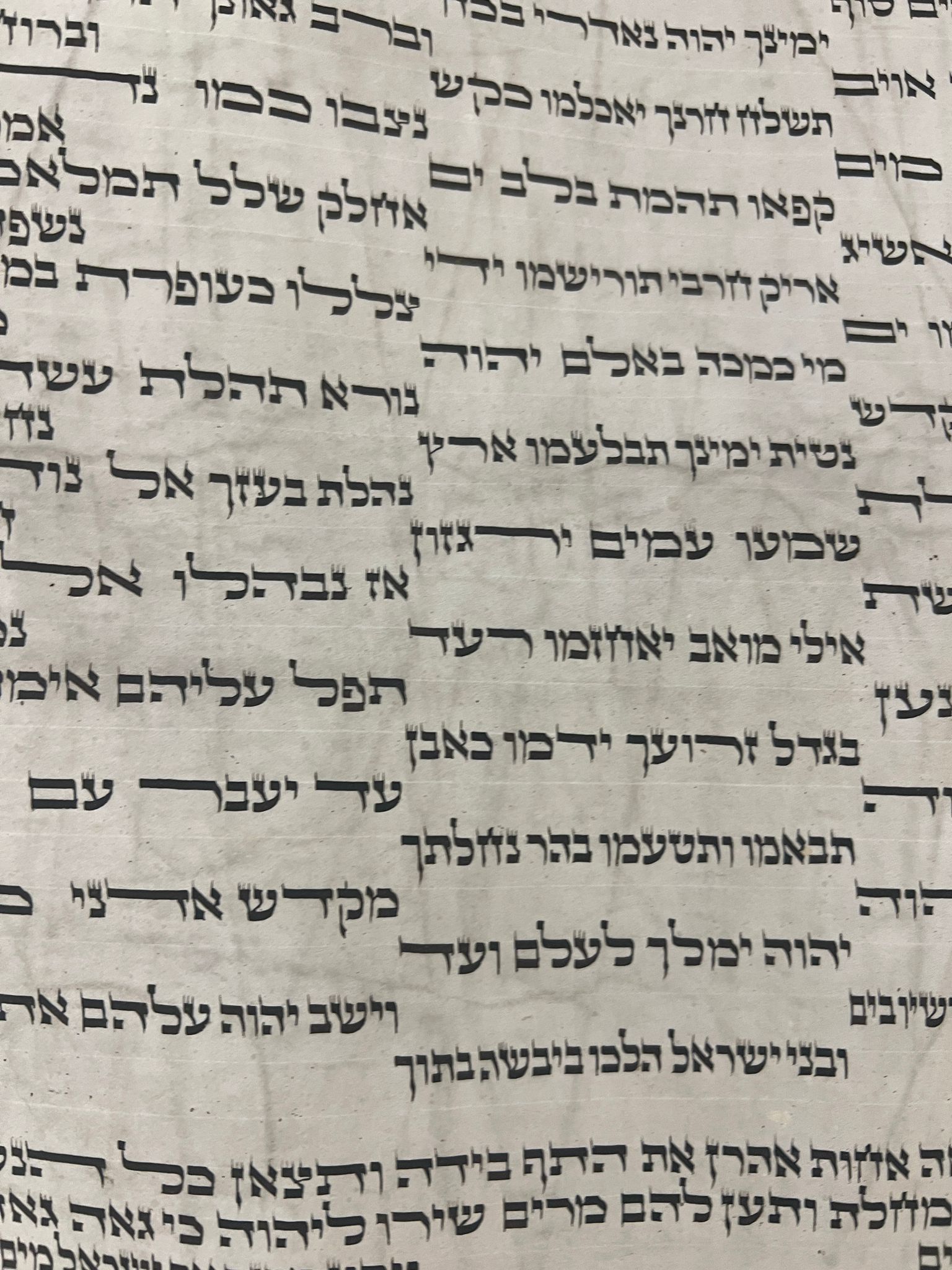 Scroll Image