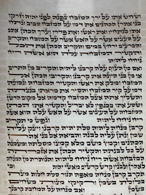 Scroll Image