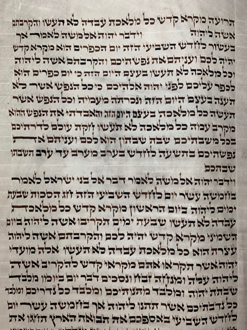 Scroll Image