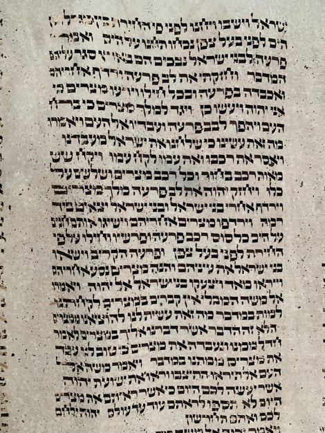 Scroll Image