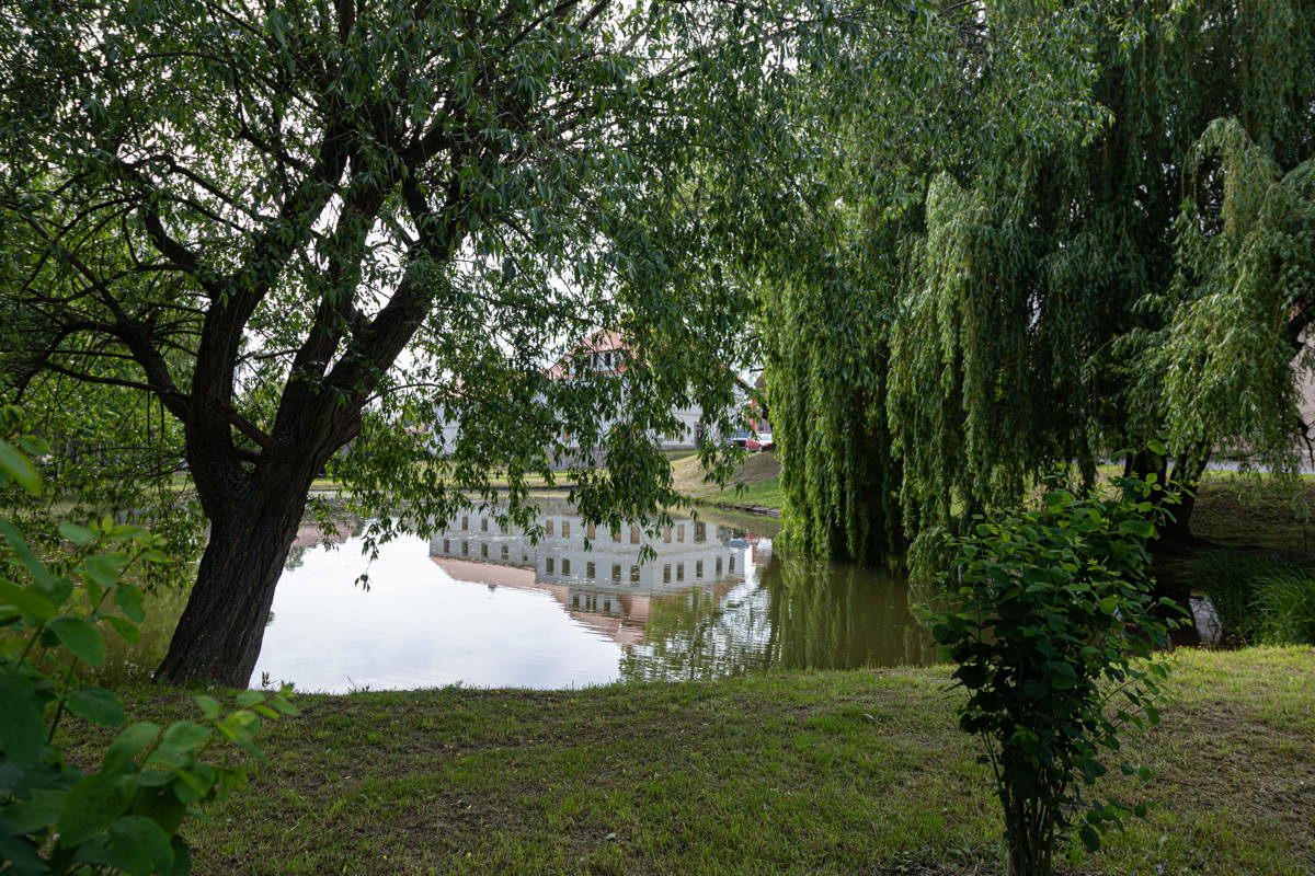 Now called “Jewish pond”, reflection is of the Jewish community centre