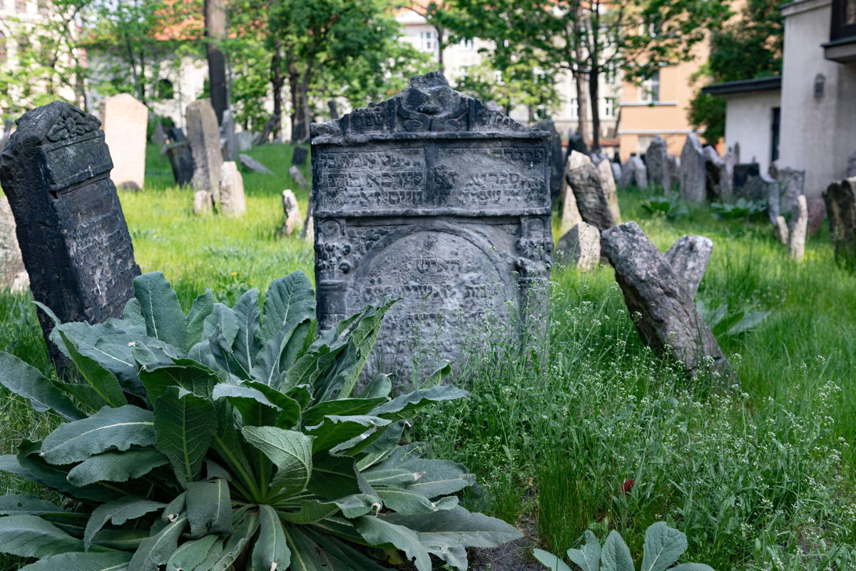 Multiple layers of graves in Jewish Cemetery