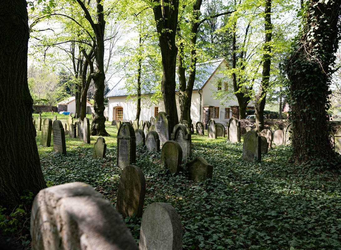 Graves and mortuary in background