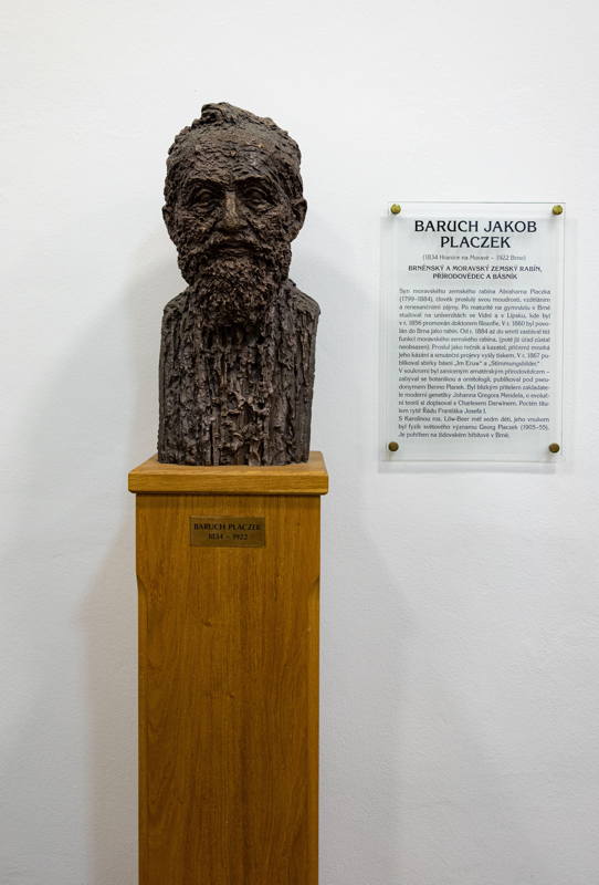 Sculpture of Rabbi Placzek located inside Jewish museum & community center of Brno